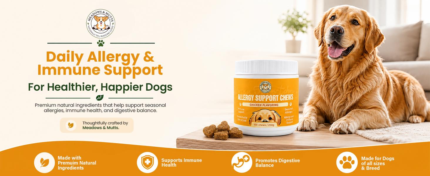 Allergy Support Chews for Dogs