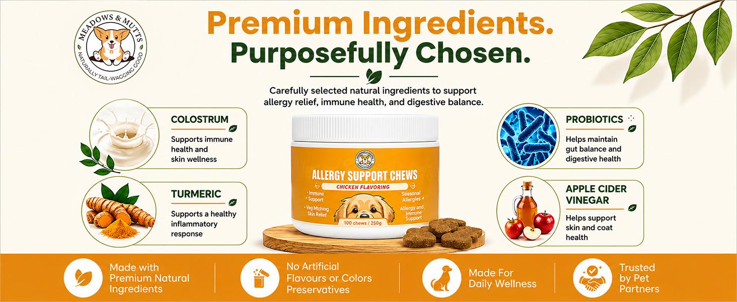 Allergy Support Chews for Dogs