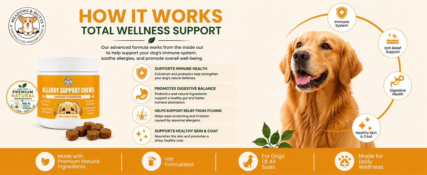 Allergy Support Chews for Dogs