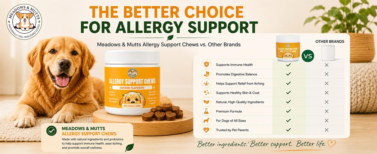 Allergy Support Chews for Dogs