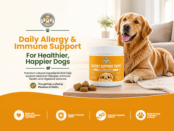 Allergy Support Chews for Dogs
