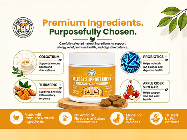 Allergy Support Chews for Dogs