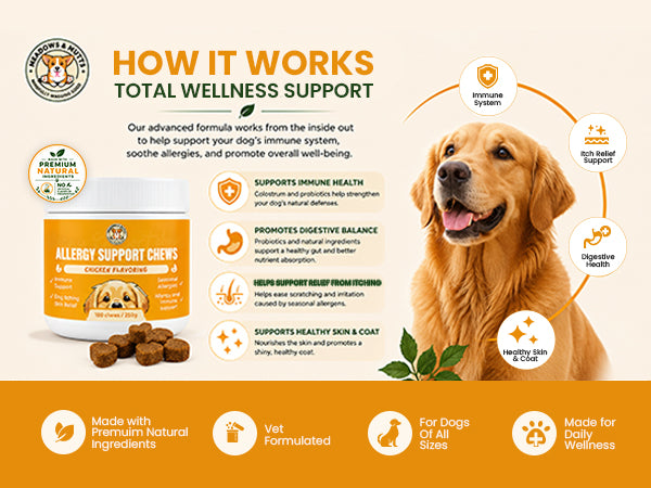 Allergy Support Chews for Dogs