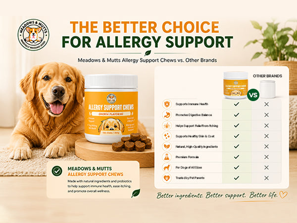 Allergy Support Chews for Dogs
